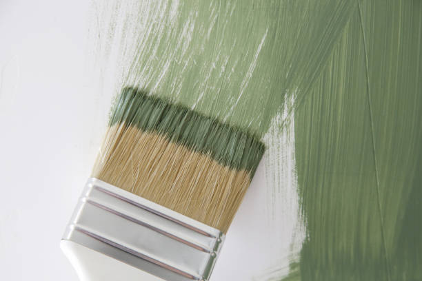 Best Environmental Consulting for Mold Prevention  in Energy, IL
