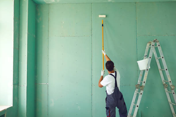 Mold Remediation for Rental Properties in Energy, IL