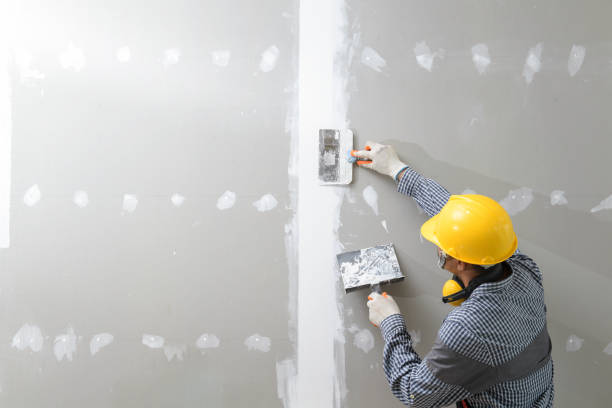 Best Basement Mold Removal  in Energy, IL