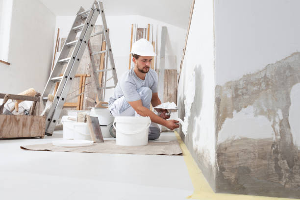 Best Commercial Mold Inspection  in Energy, IL