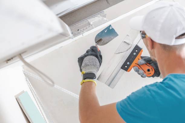 Energy, IL Mold Removal Company